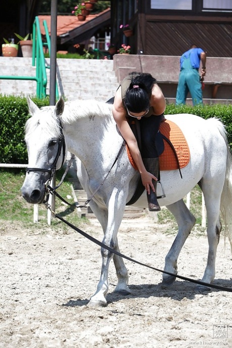 Порнозвезда Алетта Оушен катается на лошади на открытом воздухе в очках картинка 4