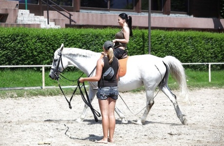 Порнозвезда Алетта Оушен катается на лошади на открытом воздухе в очках картинка 10
