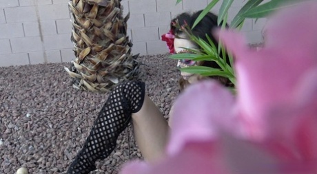 Да, это часть 2 Дня дилдо, нет, не День дилдо картинка 14