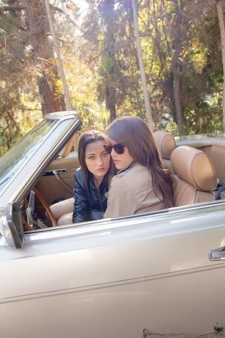 Сексуальная цыпочка Дэни Дэниелс целуется со своей подругой лесбиянкой на открытом воздухе картинка 2