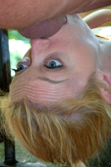 Покорные шлюшки Хейзел Гипнотик и Дарлинг наслаждаются тем, что их связывают в лесу картинка 12