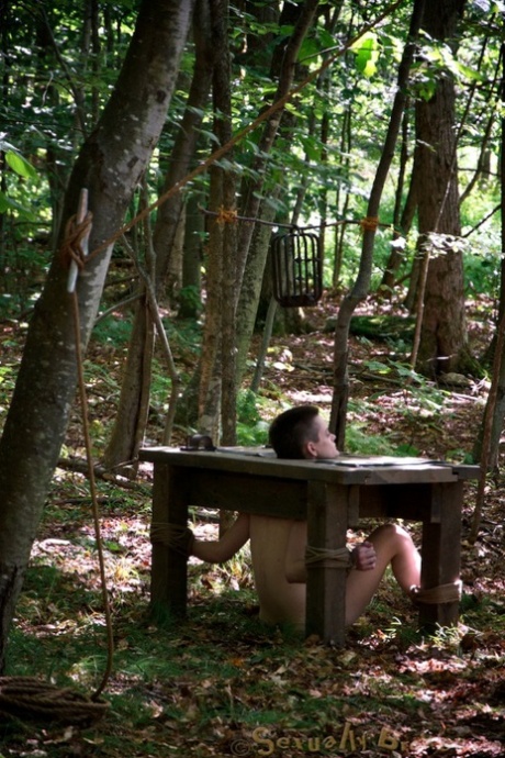 Секс-рабыни Дарлинг и Хейзел Гипнотик оказываются беспомощными в лесу картинка 9