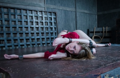 Сдержанные рабыни, вынужденные ублажать друг друга извращенными секс-игрушками картинка 2