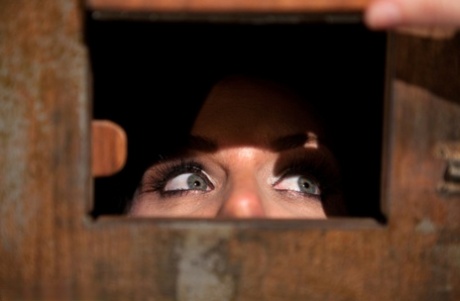 Феникс Мари доминирует над покорной брюнеткой во время лесбийской игры в бондаж картинка 13