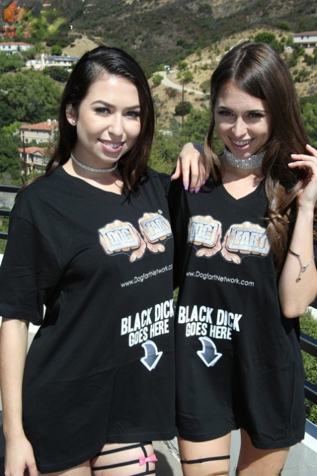 Миниатюрные белые девушки обмениваются спермой после жесткого анального секса с большим черным членом картинка 1