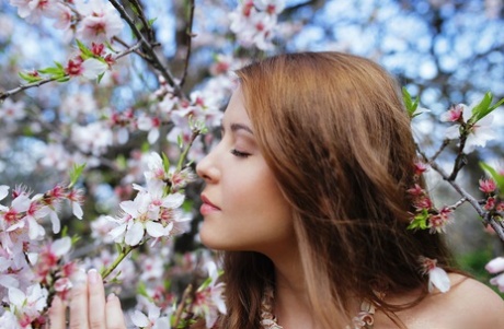 Эротичная брюнетка Сибил А показывает свою идеальную обнаженную раздвинутую киску на дереве картинка 3