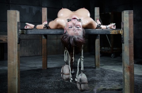 У нас нет причин тратить время на разглагольствования о Сирен Де Мер, это картинка 10